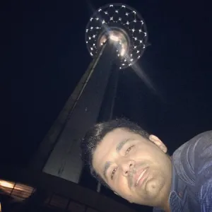 دانلود آهنگ دیوونه از میثم ابراهیمی