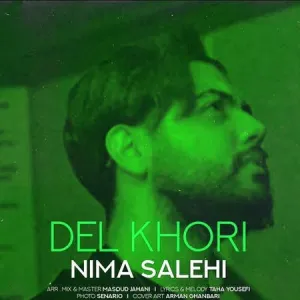 دانلود آهنگ دلخوری از نیما صالحی