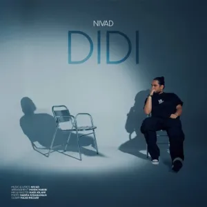 دانلود آهنگ دیدی از نیواد