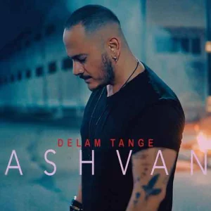 دانلود آهنگ دلم تنگه از اشوان