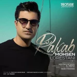 دانلود آهنگ محسن لرستانی به نام رکب