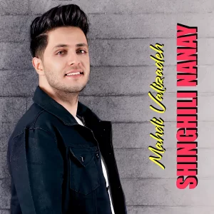 دانلود آهنگ شینقیلی نانای از مهدی ولی زاده