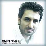 دانلود آهنگ امین حبیبی به نام عشق همیشگی