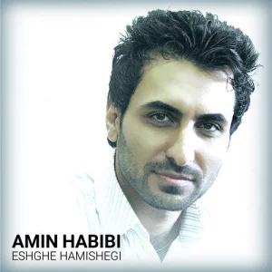 دانلود آهنگ عشق همیشگی از امین حبیبی