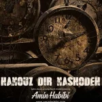 دانلود آهنگ امین حبیبی به نام هنوز دیر نشده