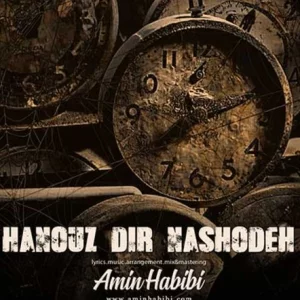 دانلود آهنگ هنوز دیر نشده از امین حبیبی