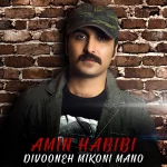 دانلود آهنگ امین حبیبی به نام دیوونه میکنی منو