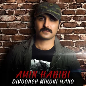 دانلود آهنگ دیوونه میکنی منو از امین حبیبی